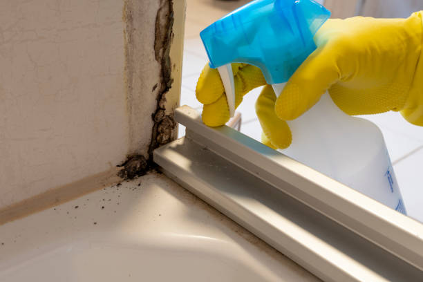 Best Residential Mold Removal  in Prudenville, MI